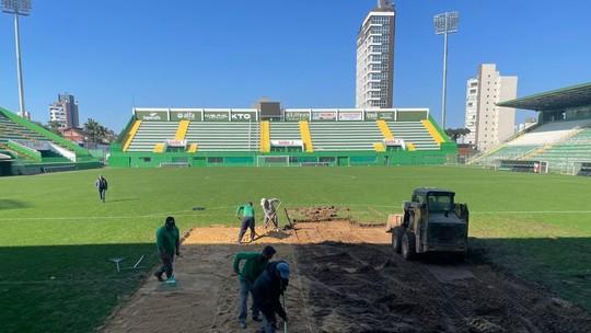 Arena Condá terá grama sintética em 2025