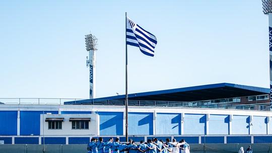 Avaí retoma treinos após crise salarial