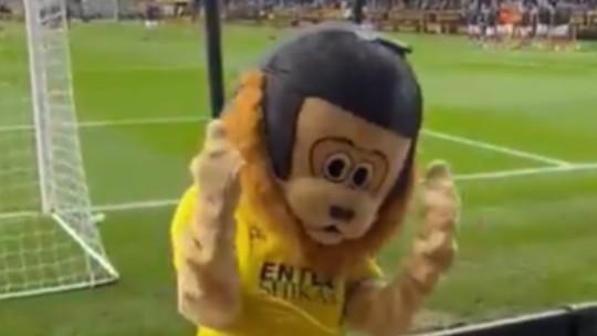 Mascote bêbado causa confusão e é retirado de campo inglês